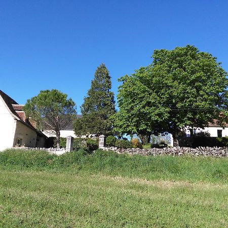 Bed and Breakfast Bergerie de Lagarrigue Baladou Exterior foto